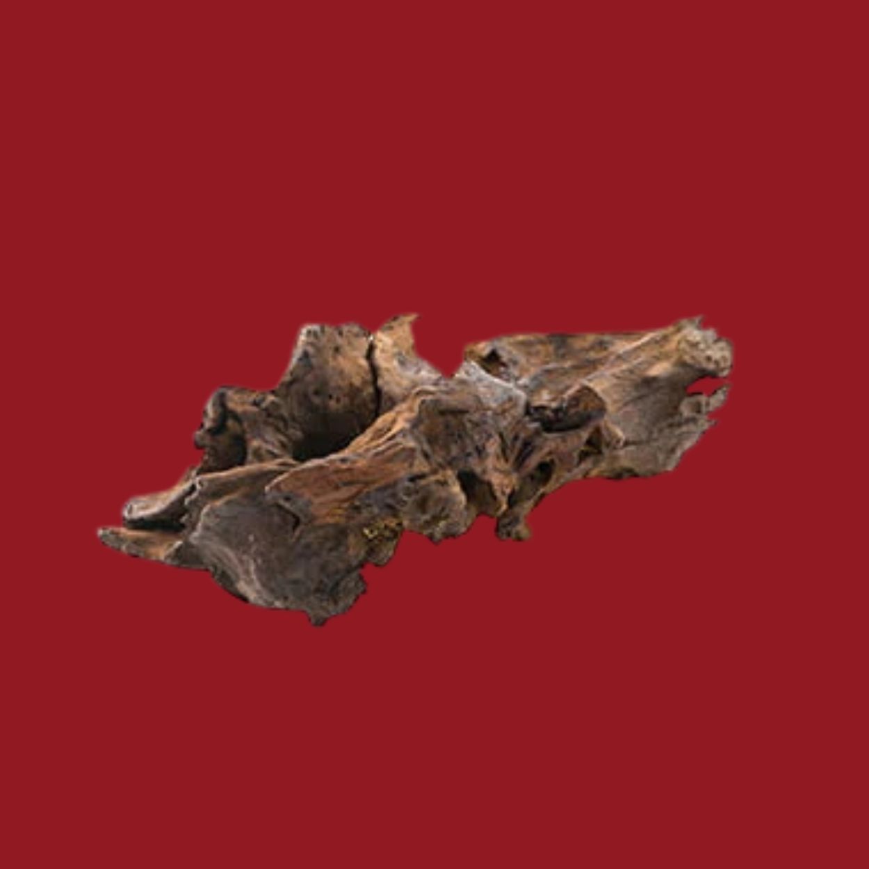 Aromë druri